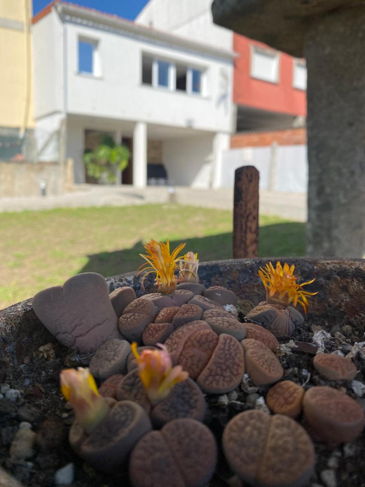 فيلا Casa Do Campo Lestrove Padrón المظهر الخارجي الصورة