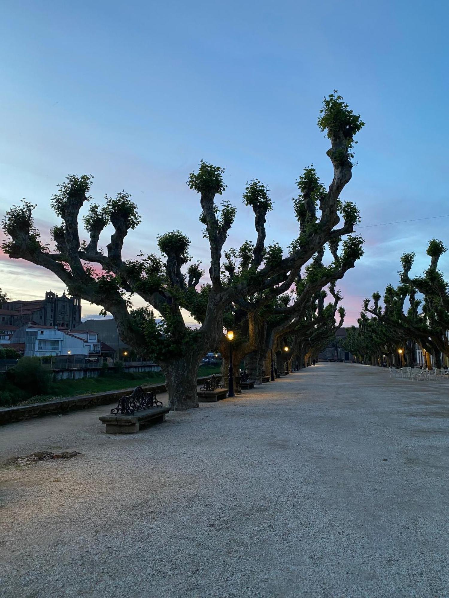 فيلا Casa Do Campo Lestrove Padrón الغرفة الصورة